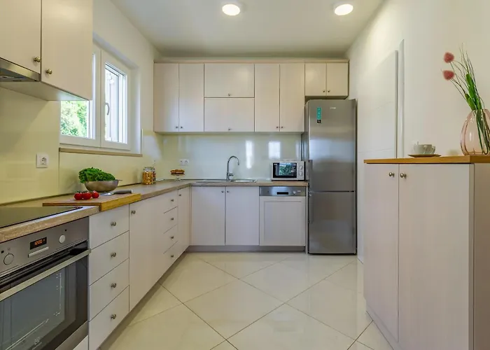 Lotus By Istrabook *