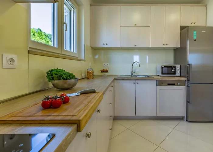 Lotus By Istrabook *